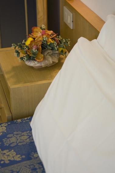 Hotel Nives リッチョーネ 部屋 写真
